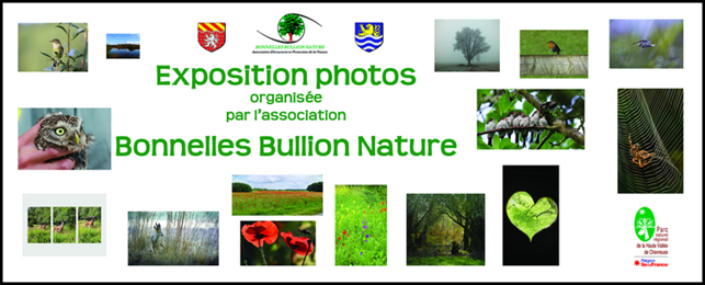 Bonnelles Bullion Nature